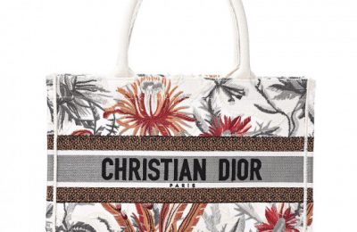 CHRISTIAN DIOR 